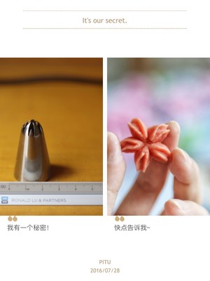 圆形裱花嘴做曲奇使用教程,用裱花嘴挤圆球教程