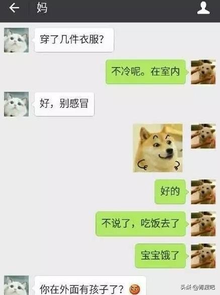 父母和自己比惨的聊天记录,与父母无法沟通的绝望聊天记录