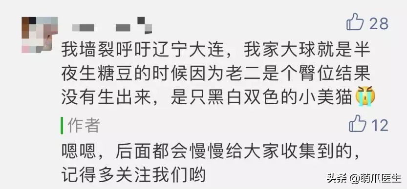宠物医院必看,不坑的宠物医院推荐