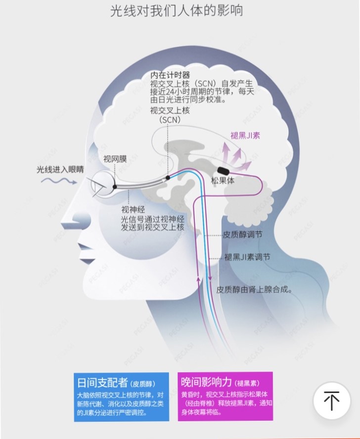 宝宝白天睡颠倒该不该叫醒,宝宝黑夜白天睡觉颠倒怎么调整
