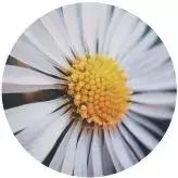 快收藏！2019年度港城最全两癌筛查知识！