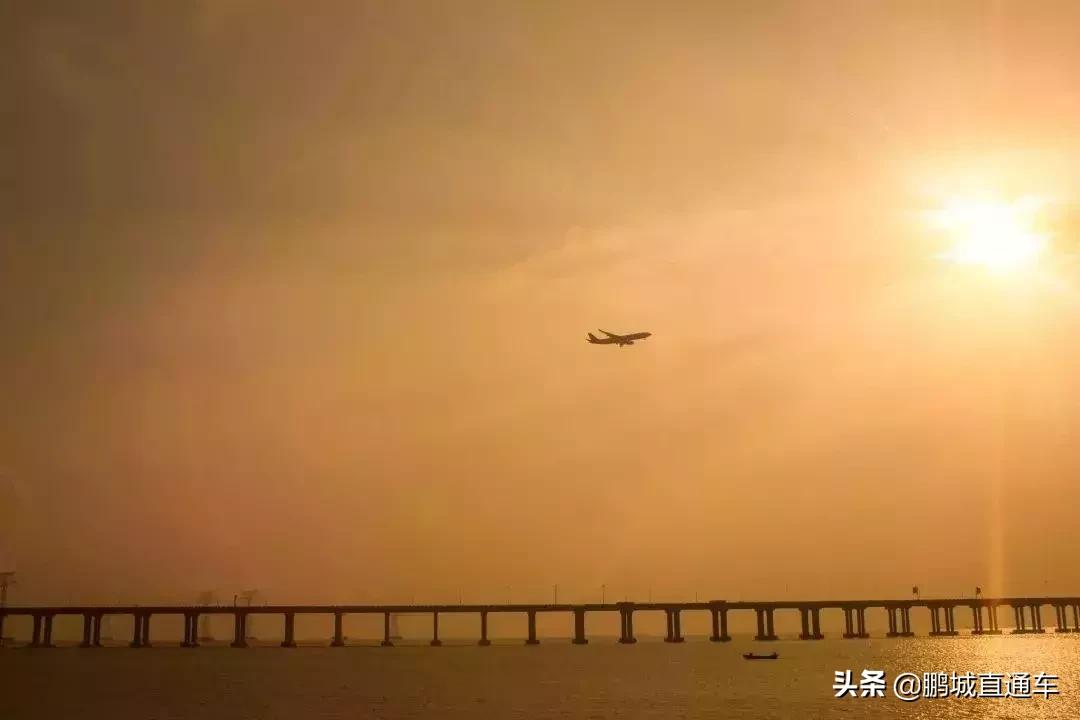 深圳60个最适合一日免费景点,暑假深圳旅游必去十大景点