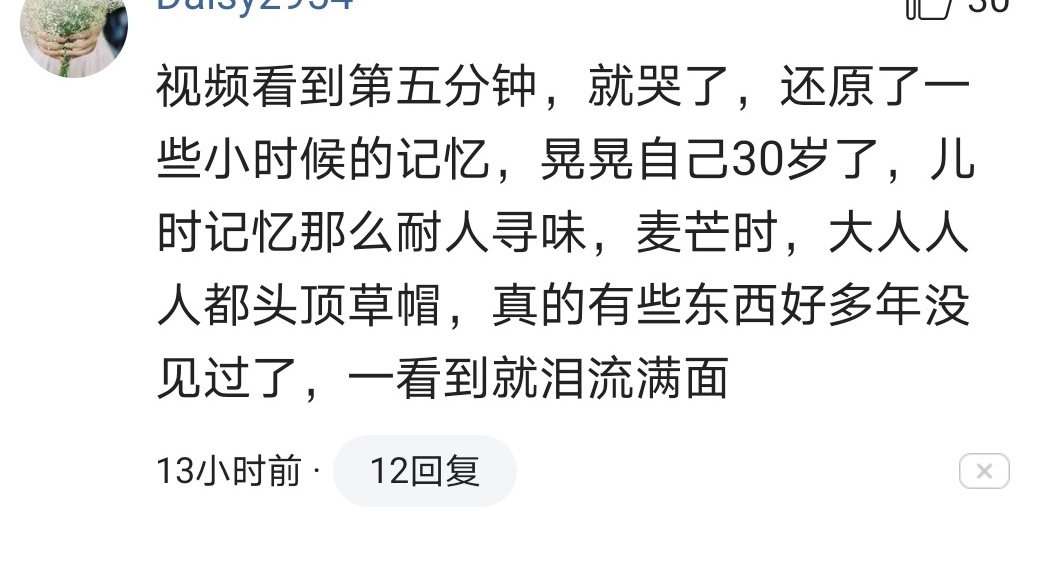 李子柒麦子的一生的播放量,李子柒麦子的生长过程