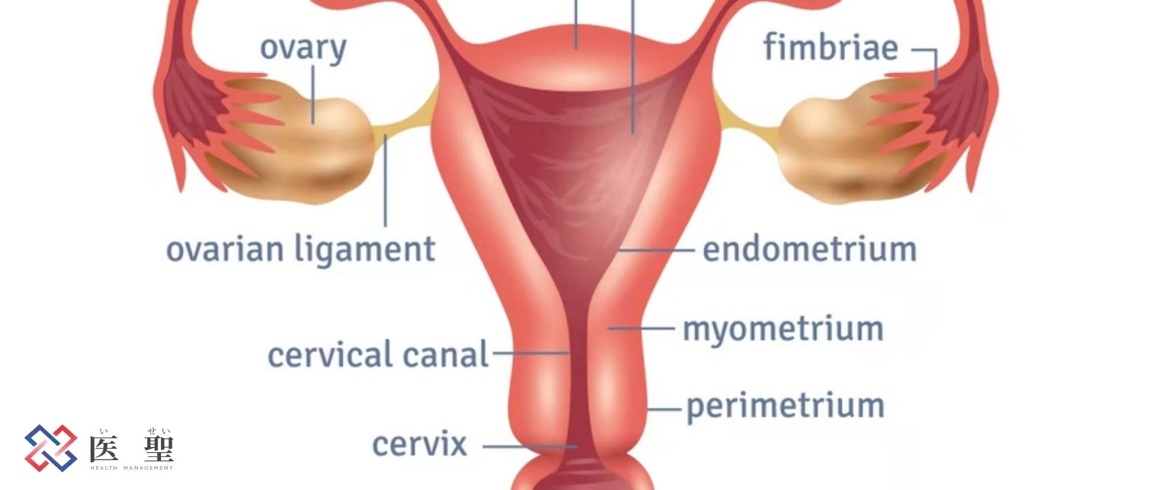 2022年自体干细胞治疗卵巢早衰,郑州干细胞治疗卵巢早衰