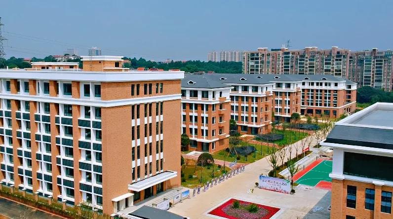 新开学的望城明德学校,望城开学通知最新