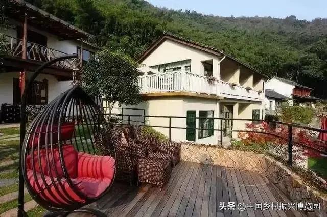 乡村振兴典型项目,乡村产业振兴十大标杆模式