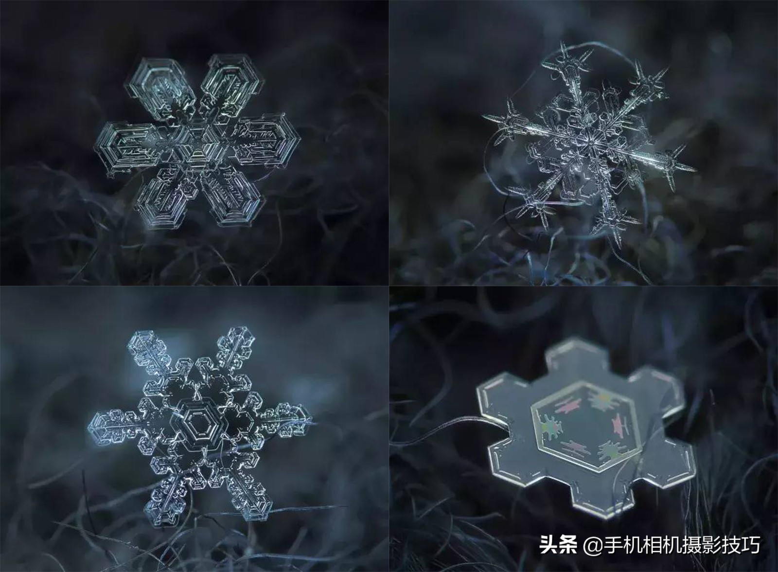 用手机如何拍摄清晰的雪花,怎样可以拍出清晰的雪花