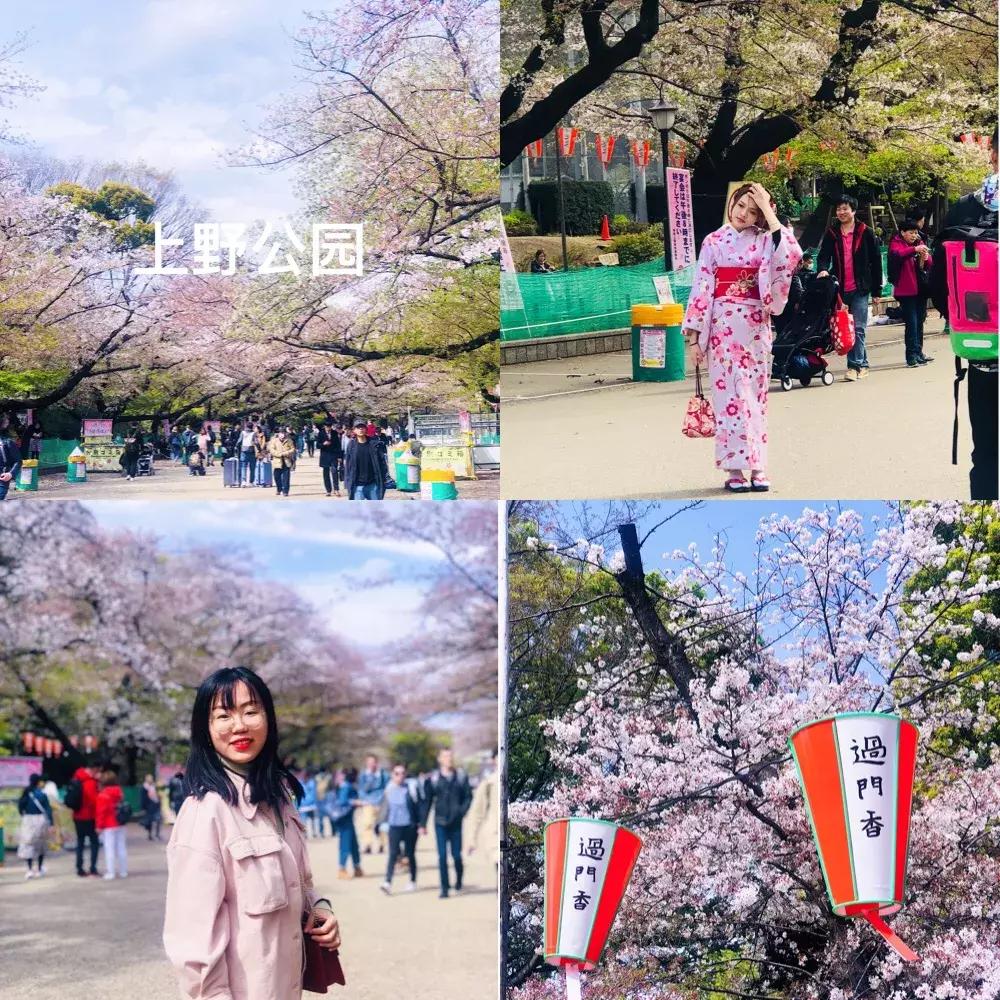 #Lili travel #日本樱花季之旅，畅游东京、京都、大阪！