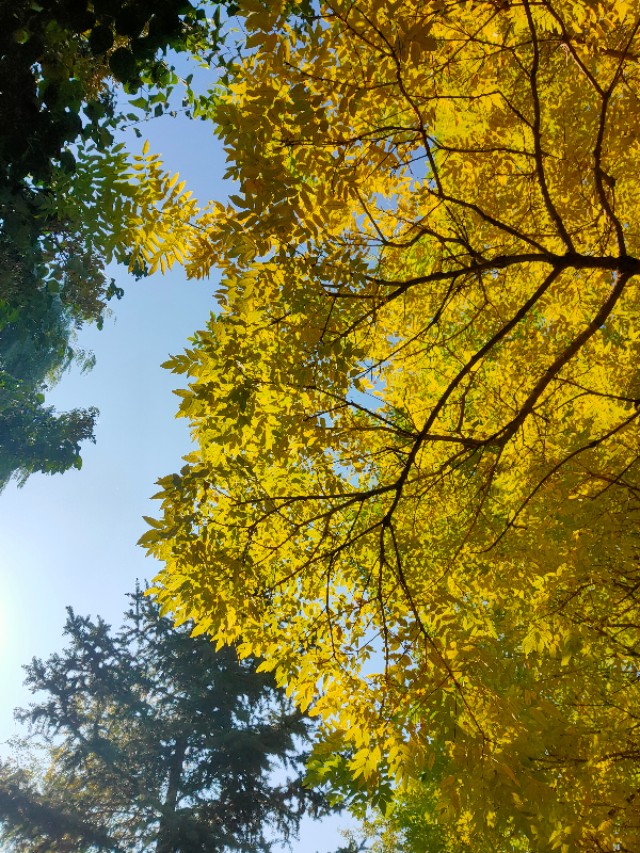 大连安波鸿缘温泉山庄,大连安波温泉民宿