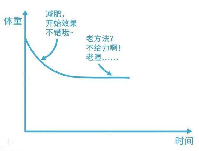 减肥碰到平台期怎么度过,减肥遇到了平台期应该怎么办