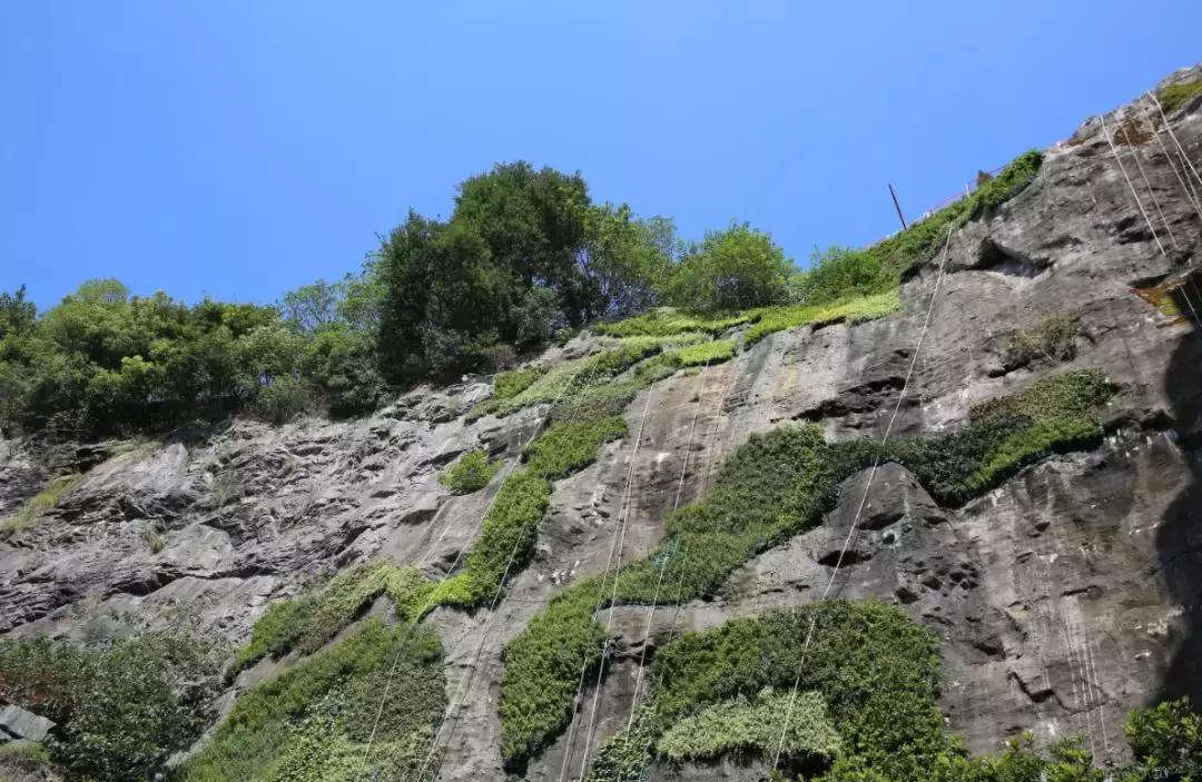 深坑酒店上海建设过程,上海深坑酒店建在哪里