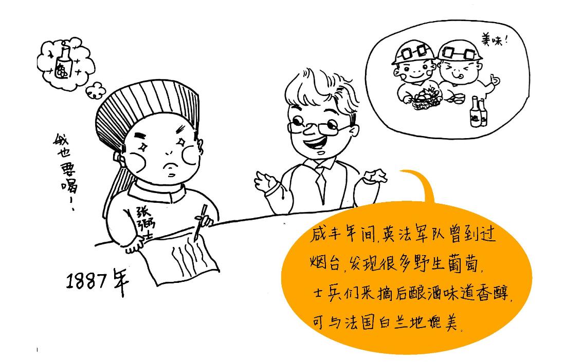 葡萄酒小知识全集,酒类小知识葡萄酒简史