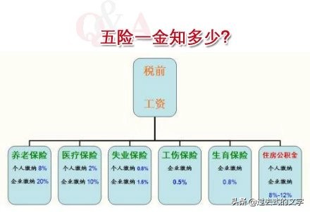 五险一金知多少,陕西能源集团五险一金知多少