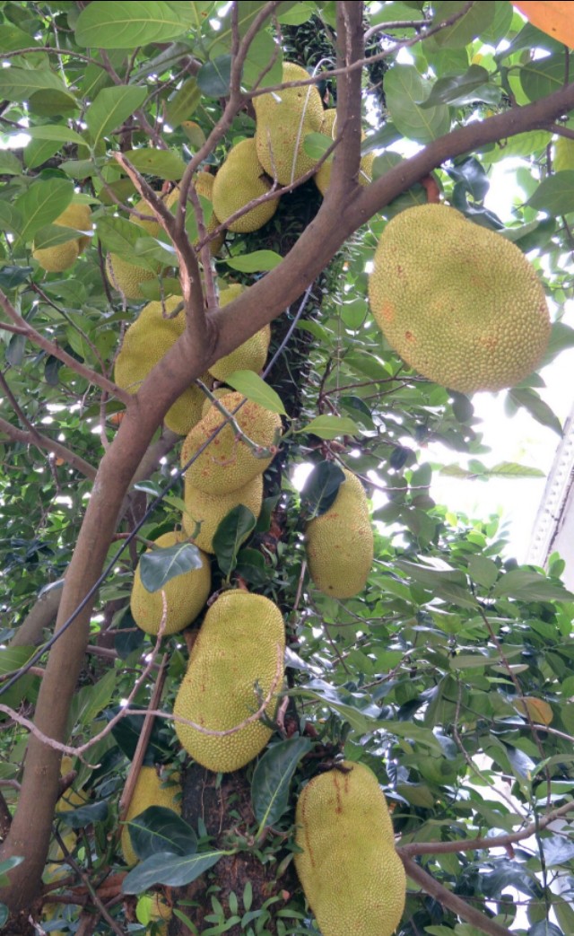 中国海岸线北端的起点,中国海岸线北起端点是丹东吗