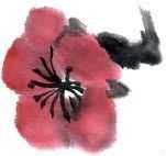 国画梅花上的雪画法步骤教程视频,零基础国画入门画梅花教程