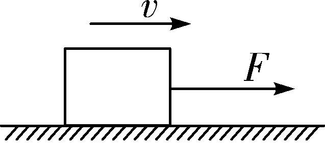初中物理力与运动人教版,初中物理力与运动培优