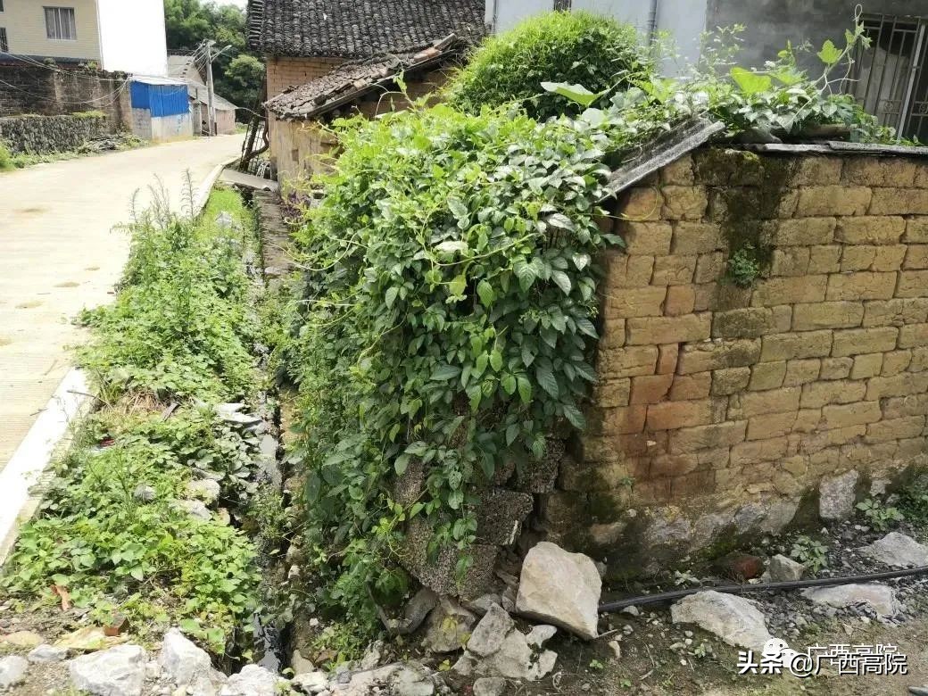 网店被大嘴猴起诉商标侵权怎么办,网店大嘴猴商标侵权案例