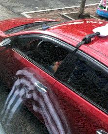 搞笑gif姑娘你也太强大了,搞笑gif开心一刻妹子的眼神