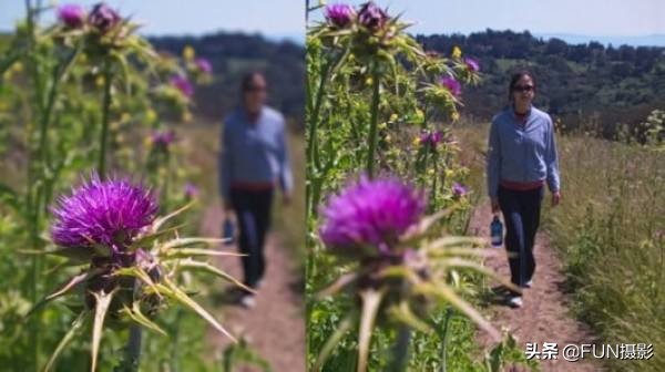 怎么知道镜头的最佳对焦,1分钟摄影教程5招选好对焦位置