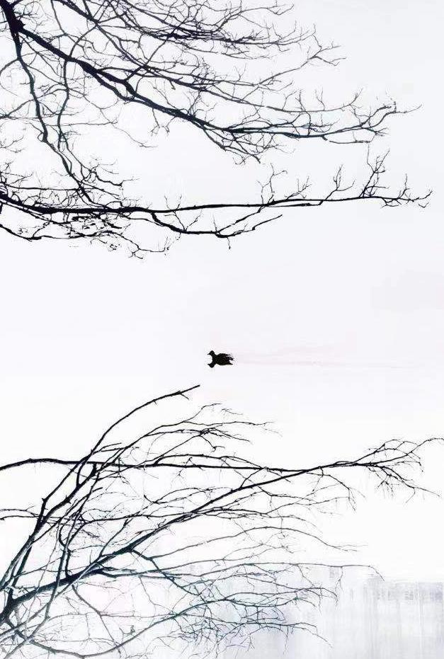 象策学堂（一）∣慢、稳才能快，提升摄影水平的捷径就是少走弯路