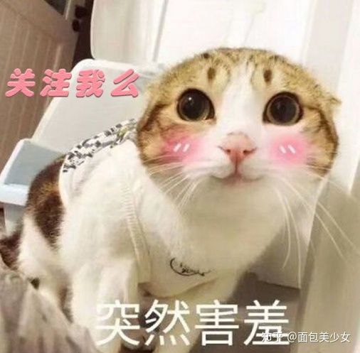 跳绳真的可以减肥吗多久有效,负重球跳绳真的能减肥吗