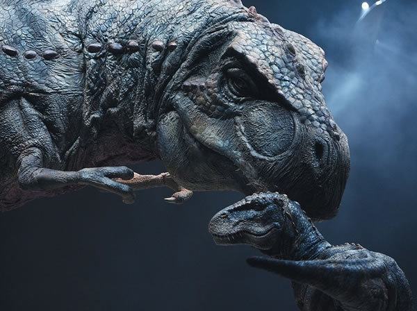 地球最大动物蓝鲸两百吨体重,地球最大的动物是什么动物