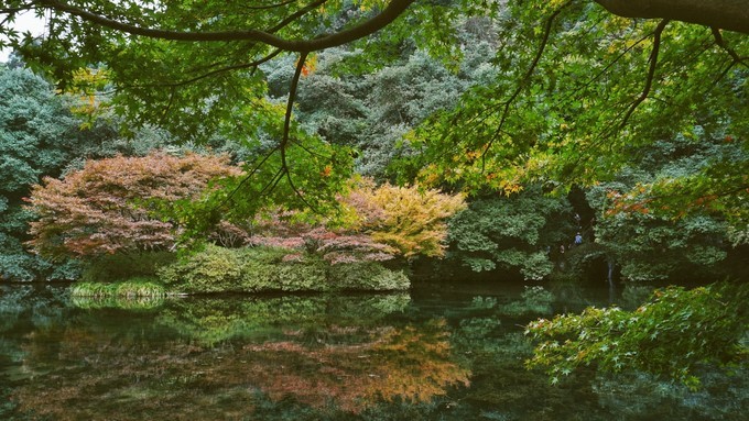 杭州西湖乌镇苏州南京上海攻略,天青色等烟雨乌镇旅游