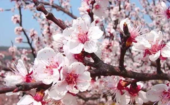 带有收藏的成语,成语归纳给孩子收藏吧