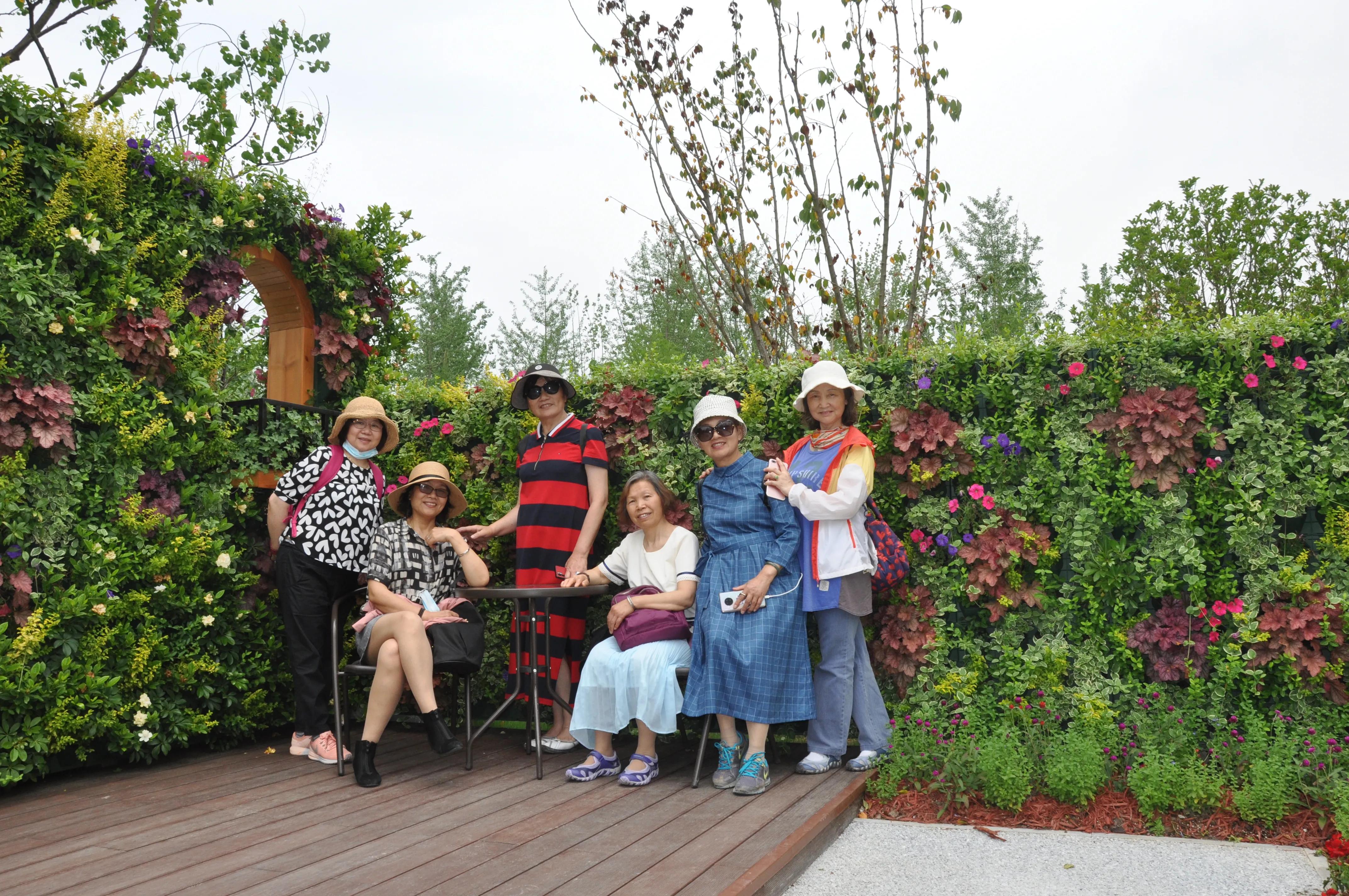 漳州东南花都花博会巡游,花博会花神巡游打卡
