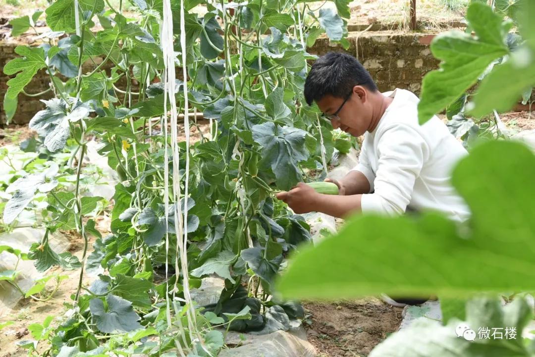 石楼丁喜辉:90后“草根”的创业致富路