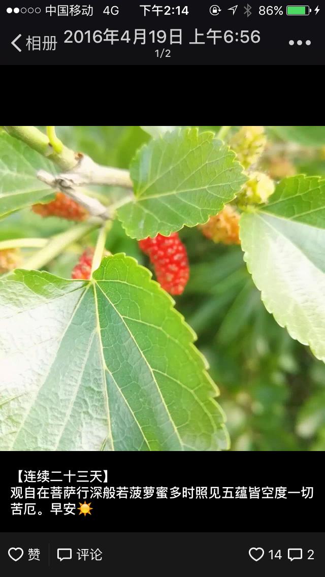 养成好习惯祛痘变简单,养成什么习惯能让痘痘变少