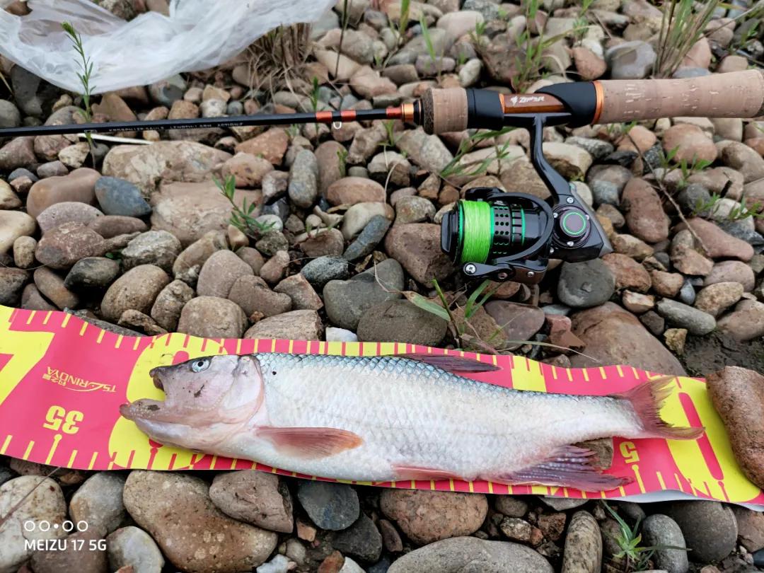 「渔获名人堂周榜」这两位粉丝钓友，你们太牛了