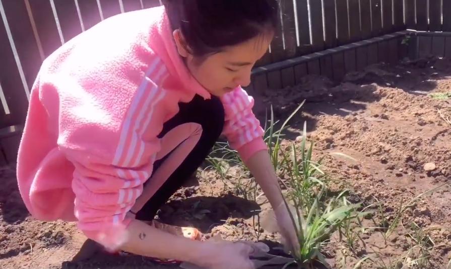 李兰迪身材消瘦格子西装率性十足,李兰迪私下穿衣搭配