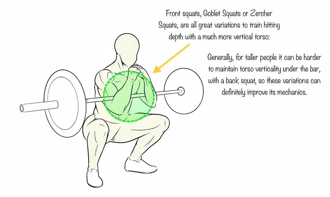 男女深蹲次数多少合适,练习深蹲一个月有什么效果