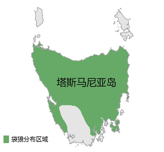 美洲黑熊和浣熊谁更厉害,郊狼和浣熊的区别