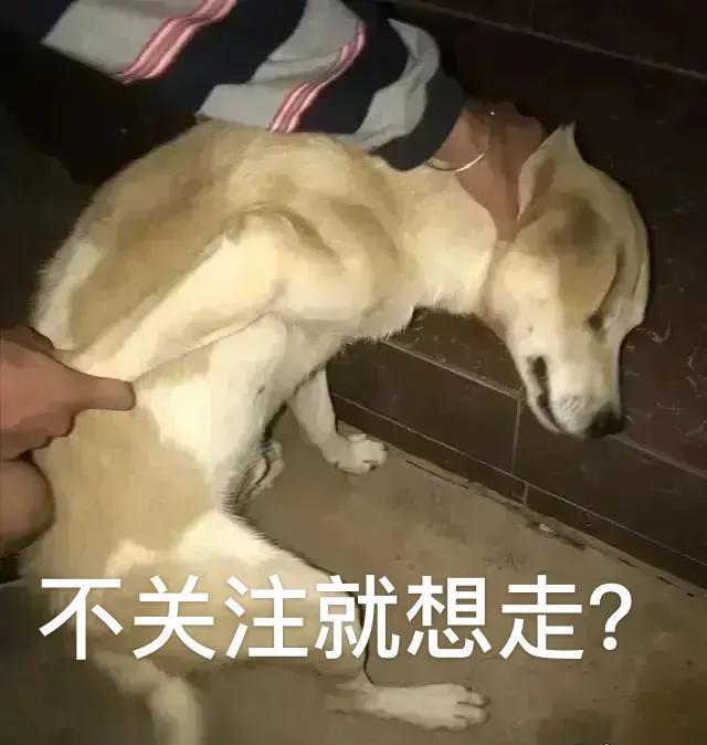 都说疫情期间上分难！为何星耀已经代替钻石成为最坑段位？