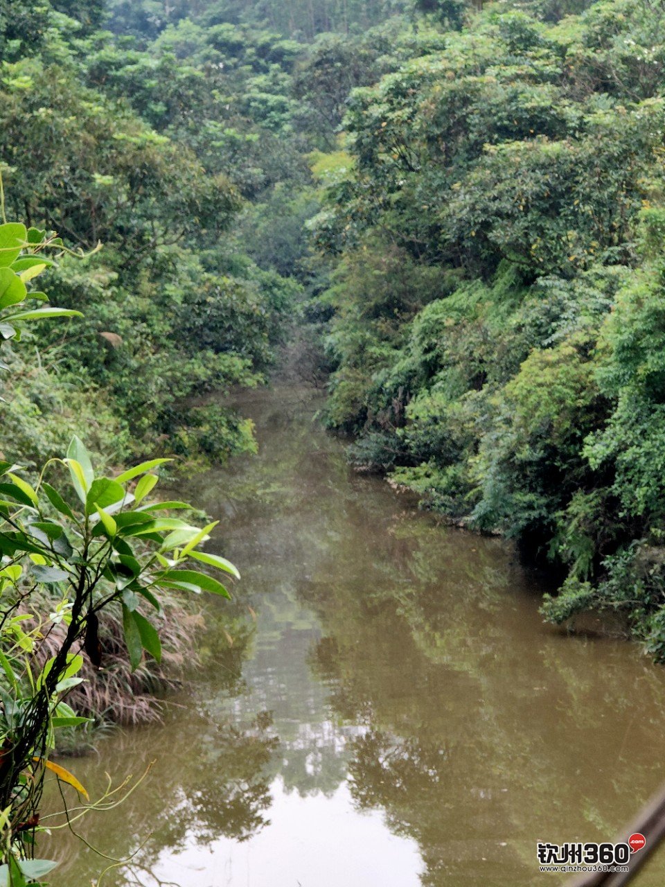 野生蜂蜜取出来的方法,神奇的东西都有什么