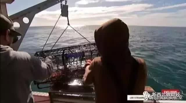 黑帮里面的钱和武器,黑帮用的东西是什么