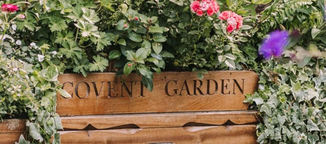 伦敦政经lse怎么申请,英国伦敦政经学院qs排名