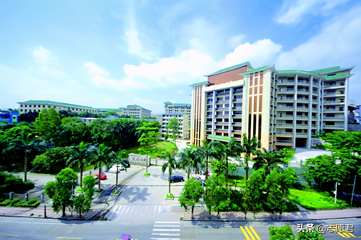 2022年的广东本科院校排名,2020广东省本科大学一览表