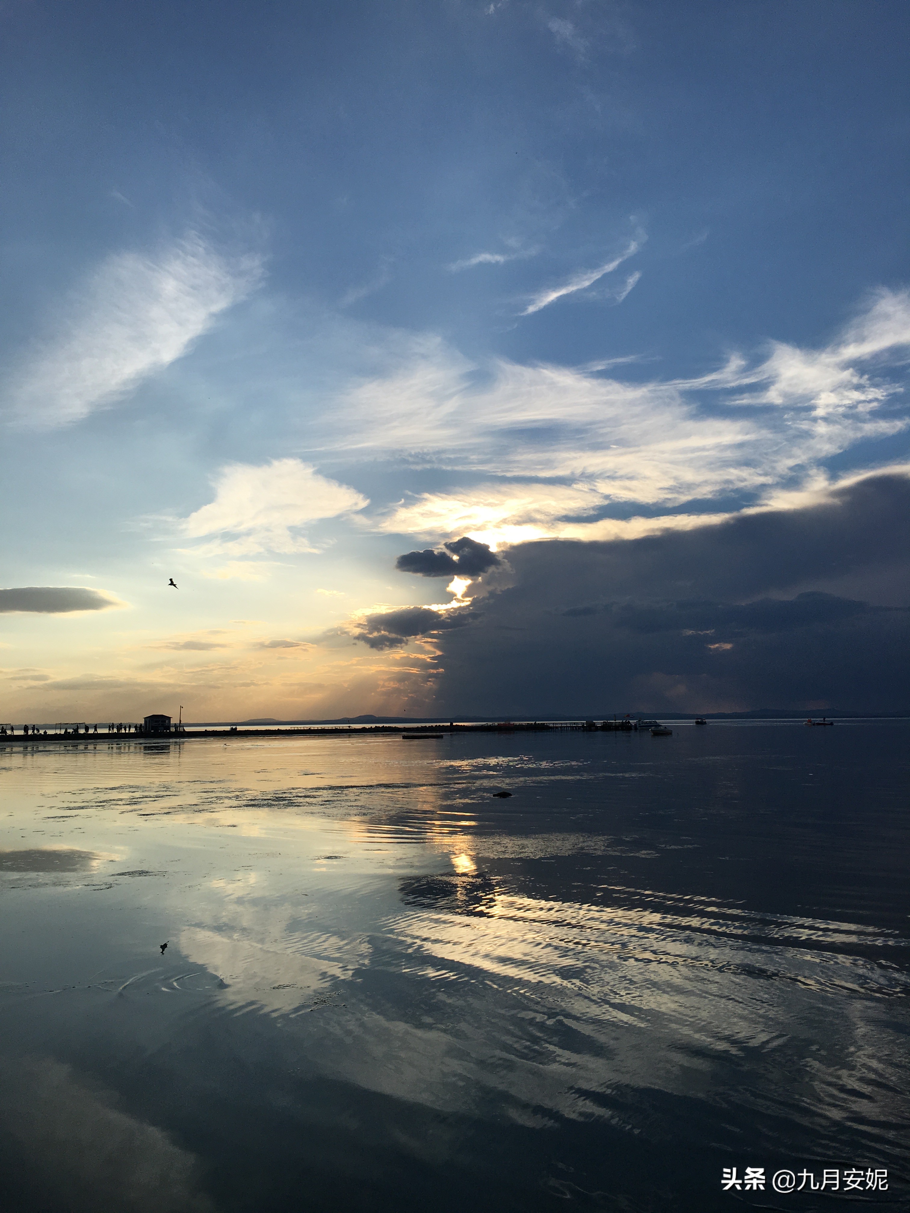 去达里湖看华子鱼洄游,达里诺尔湖华子鱼洄游在哪里