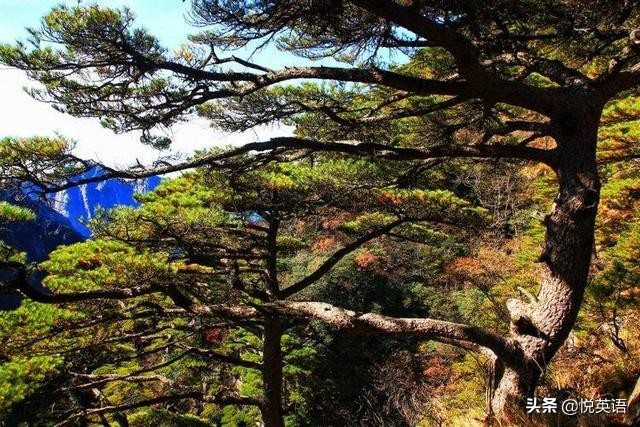 完形填空必背高频短语,初中完形填空必背800词