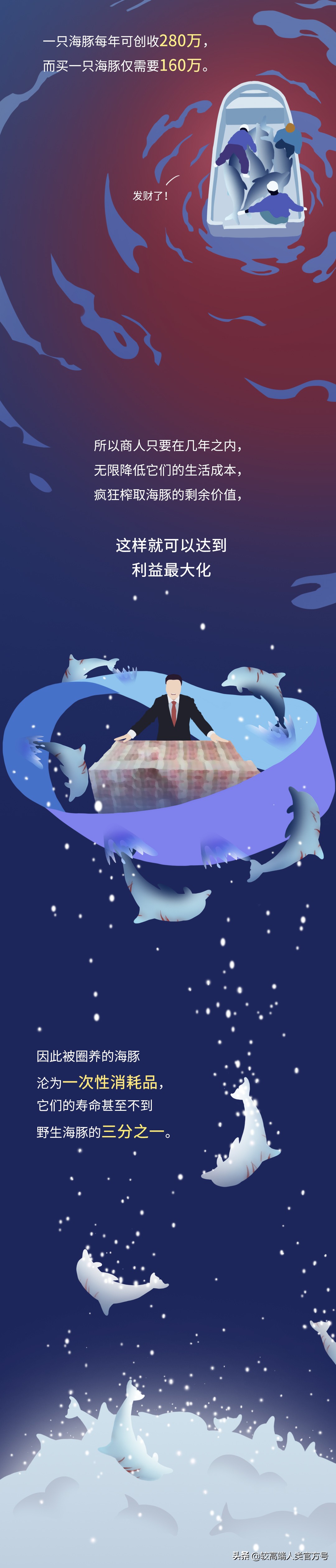 囚禁海豚,海豚表演有多残忍