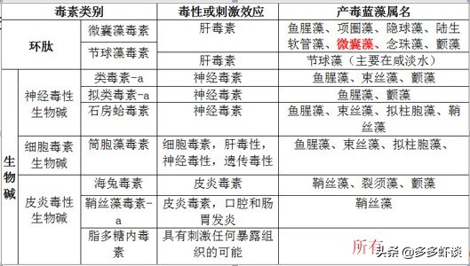 蓝藻过多对水体的影响,蓝藻爆发能不能补肥水