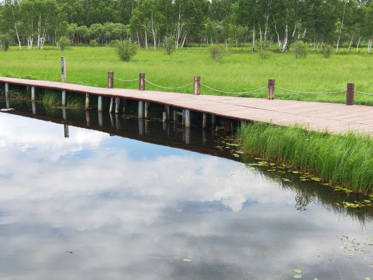 美丽的高岭塞罕坝,美丽的高岭朗诵