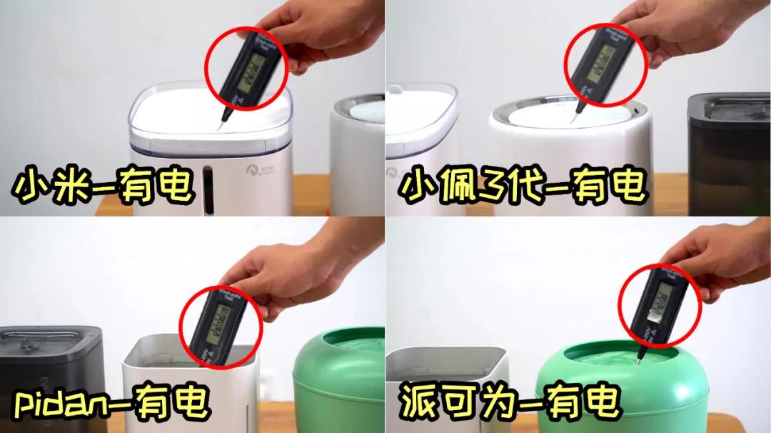 宠物饮水机“漏电”化身杨永信!你还敢让猫咪用它喝水吗?