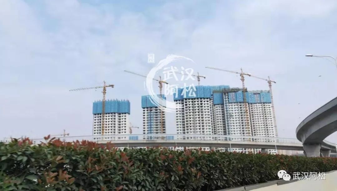 白沙洲新楼盘排行榜2020,白沙洲最火盘