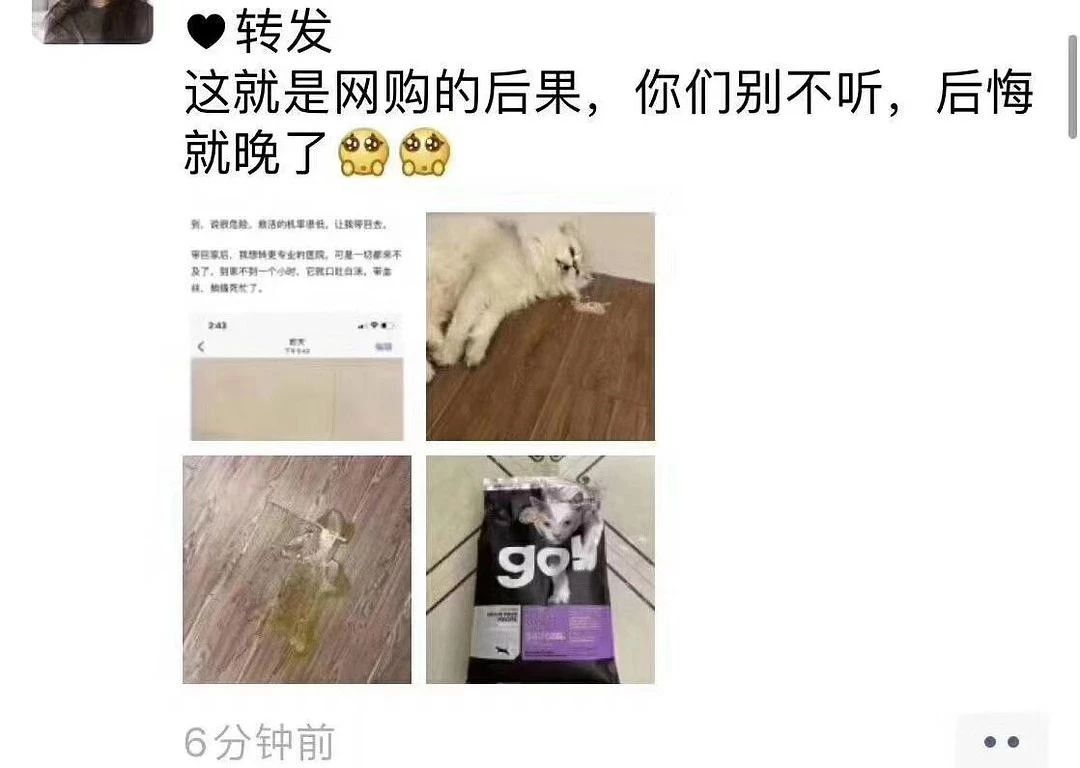 什么情况下猫粮能吃死猫,进口食品需要注意什么