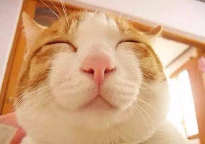 害怕老师批评不去幼儿园,害怕老师不敢上学怎么办