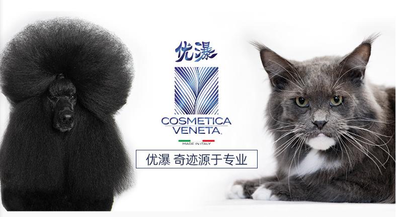 猫舍长毛猫洗护日常分享,无毛猫的清洁与护理全攻略